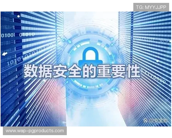PG游戏备用平台的安全性分析,保障玩家个人信息与资金安全的关键措施 PG游戏备用平台的安全性分析,保障玩家个人信息与资金安全的关键措施